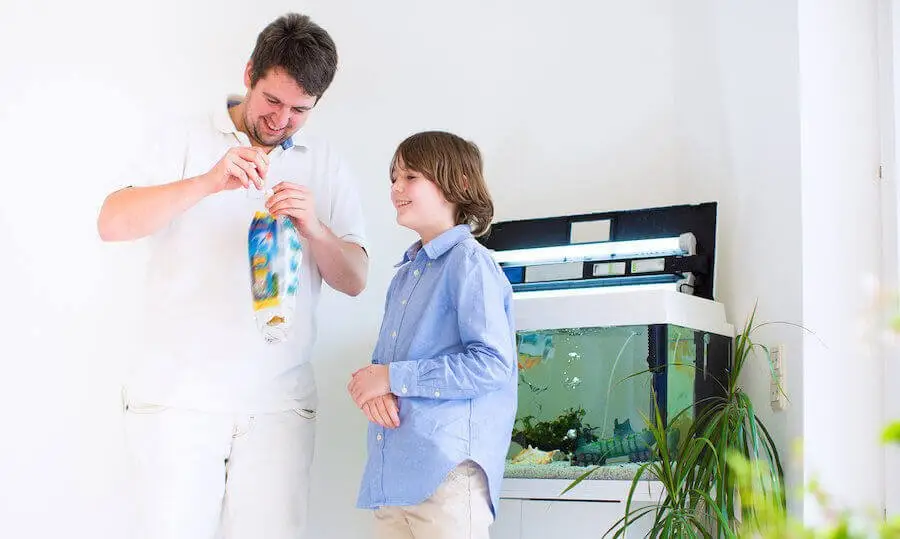 Setting up new aquarium