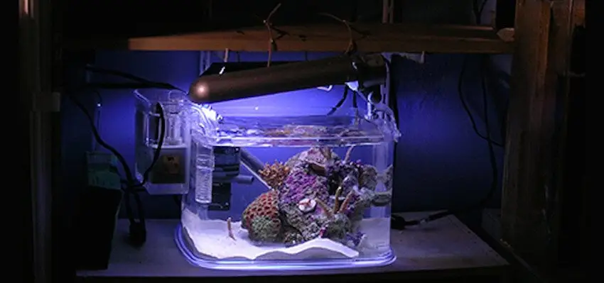 Nano Reef Tank